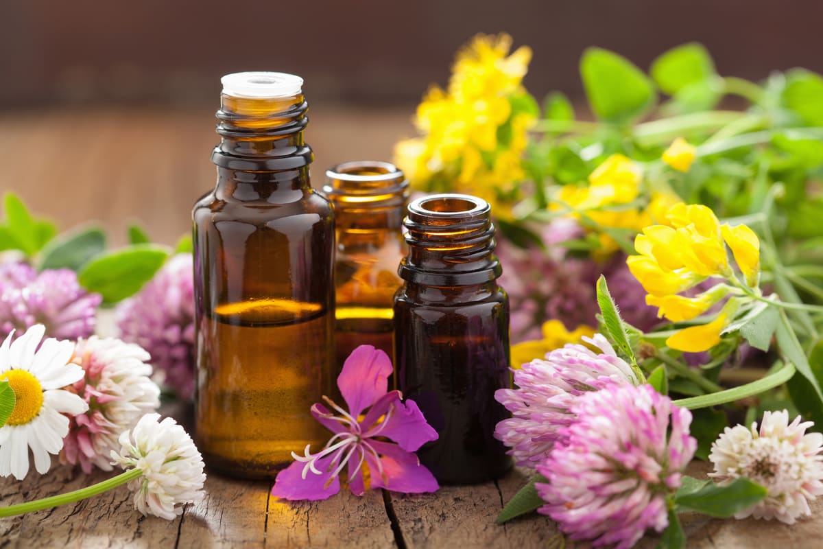 Aromathérapie : tout sur l'utilisation des huiles essentielles et l' aromathérapeute