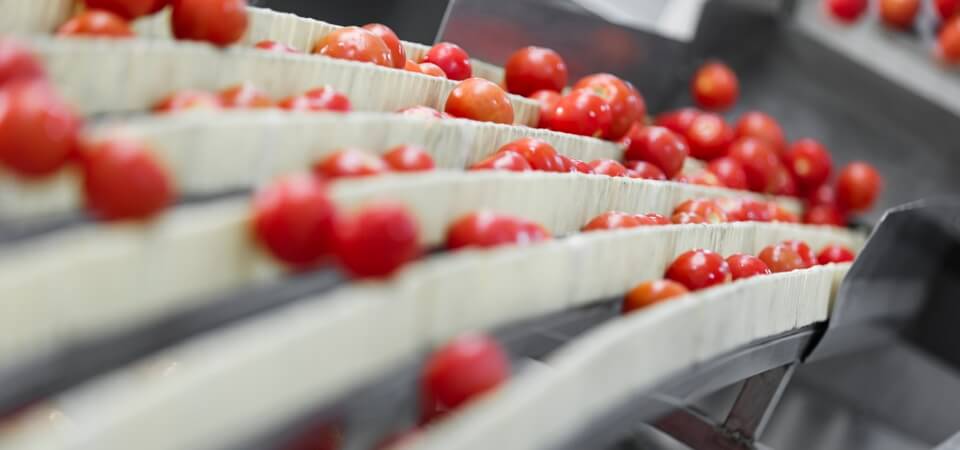 formation agroalimentaire